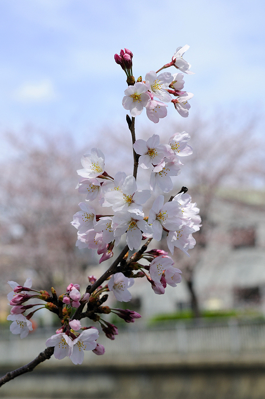 image0135