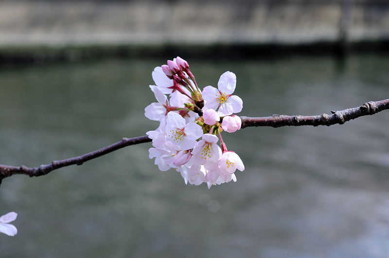image0139
