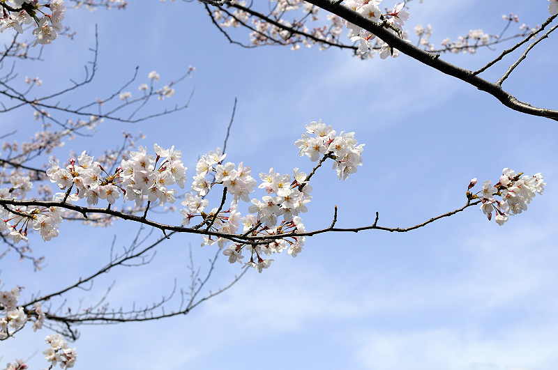 image0143