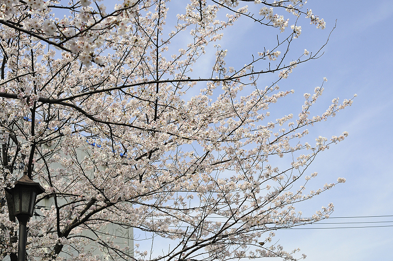 image0147