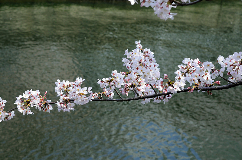 image0163