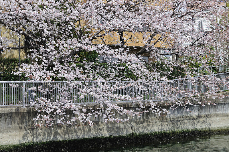 image0180