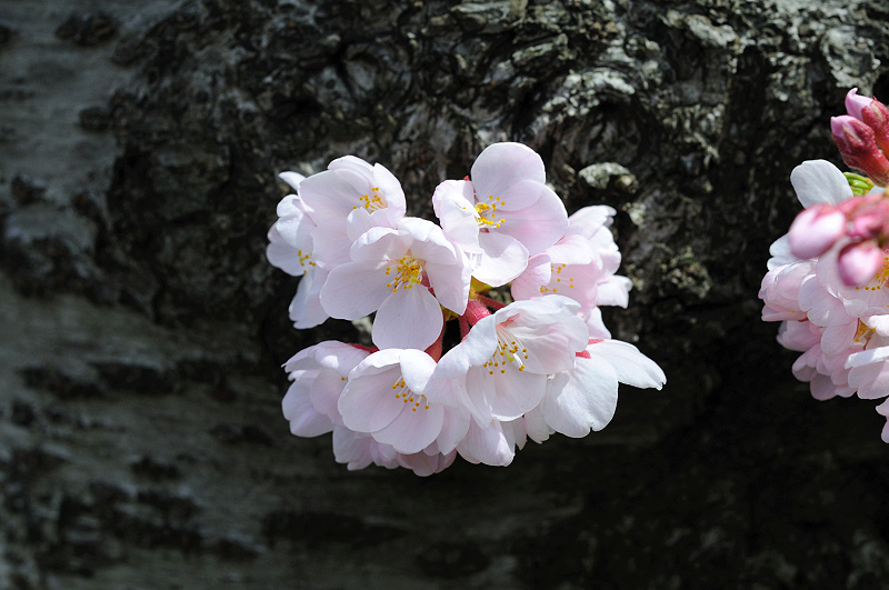 image0181