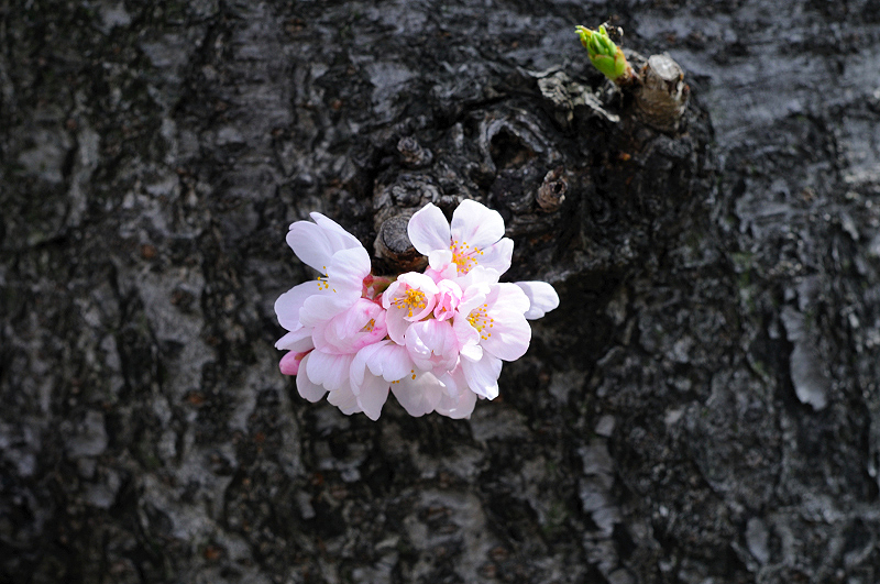 image0183