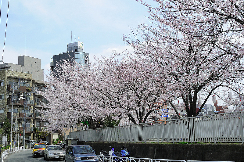 image0197