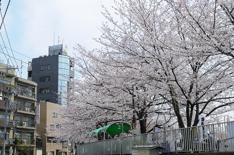image0198