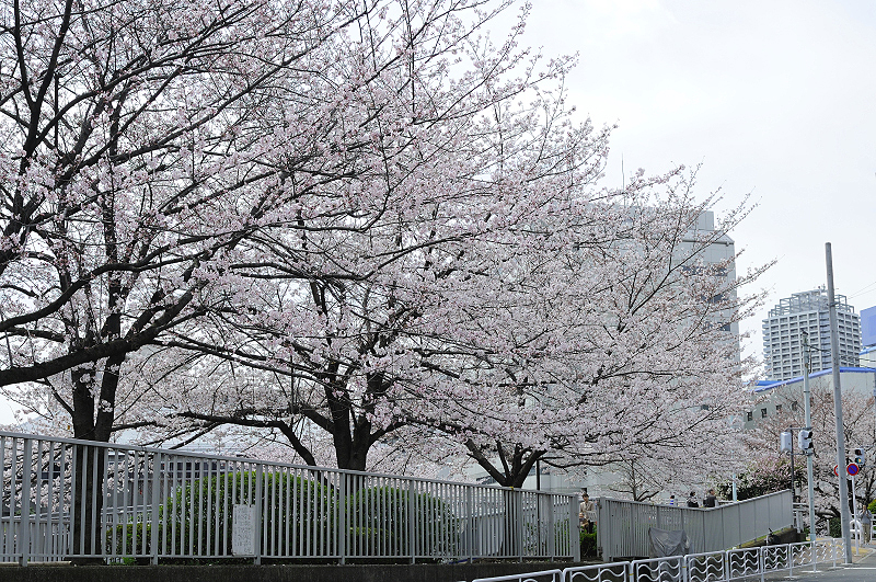 image0199