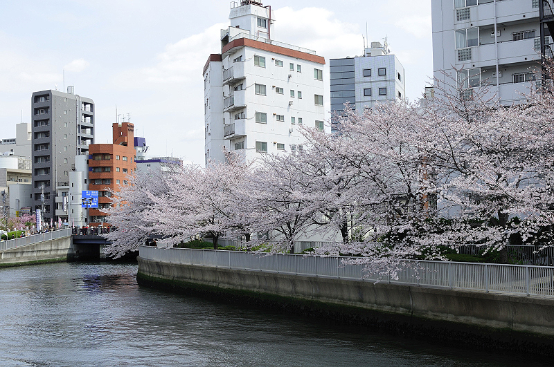 image0200