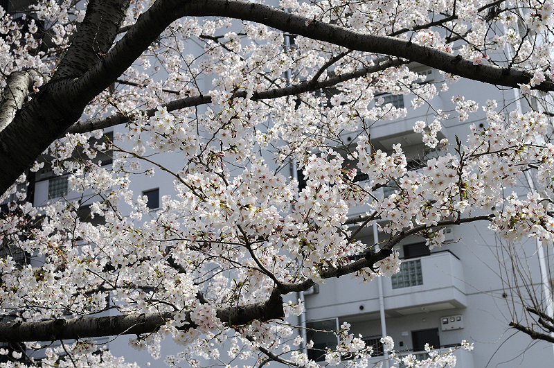 image0206