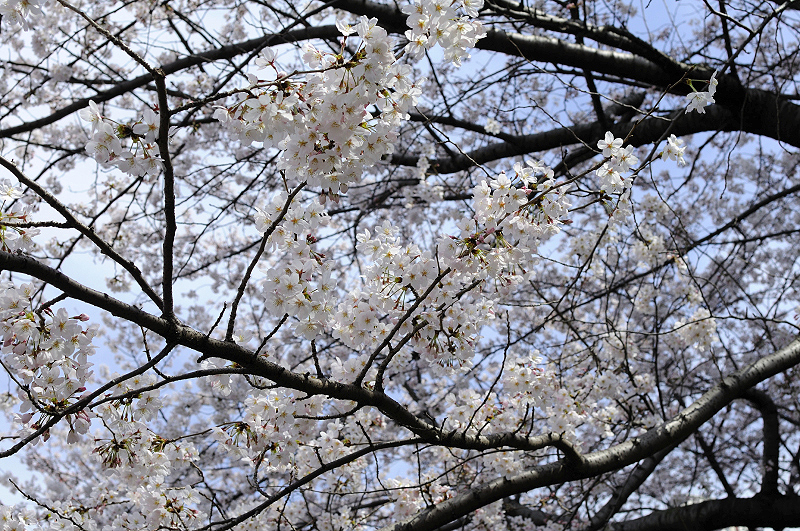 image0209