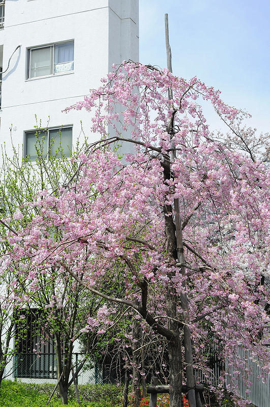 image0215