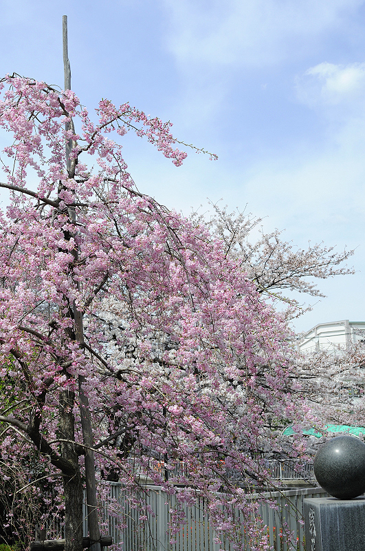 image0216