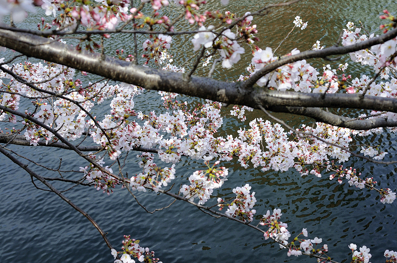 image0221