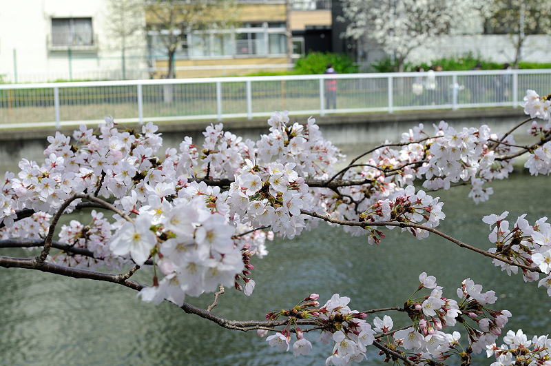 image0222