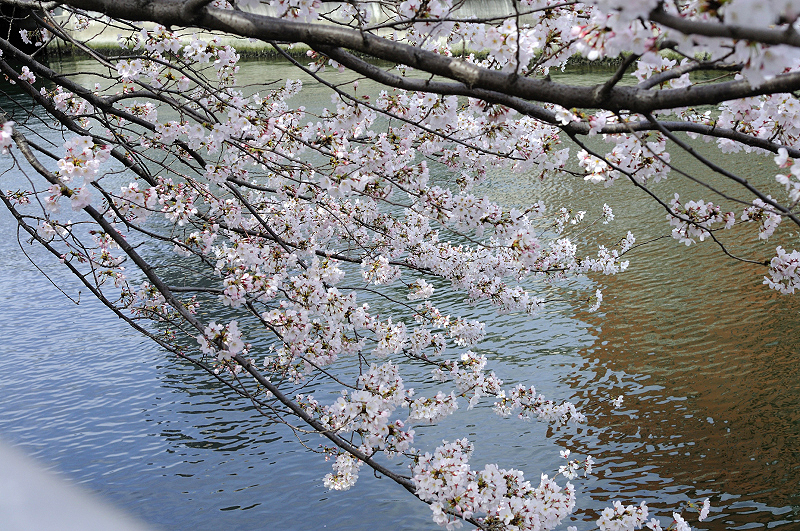 image0223