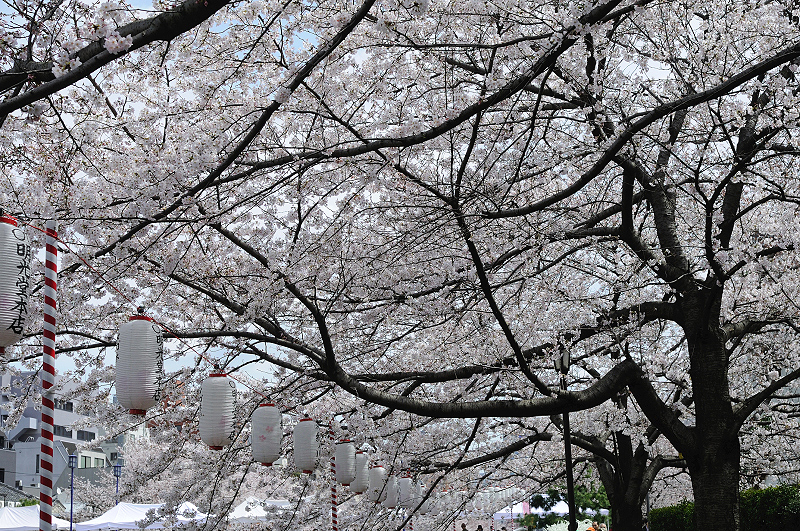image0225