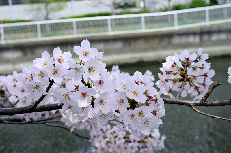 image0229
