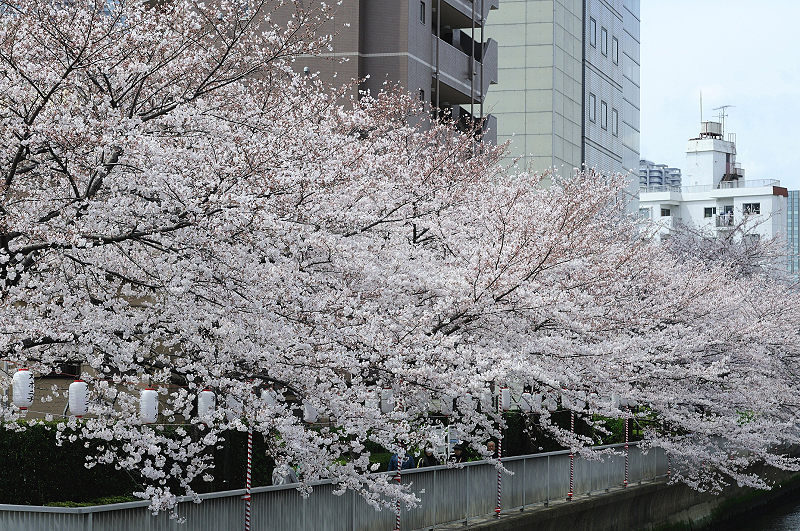 image0235