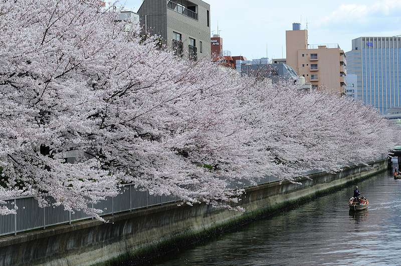 image0243