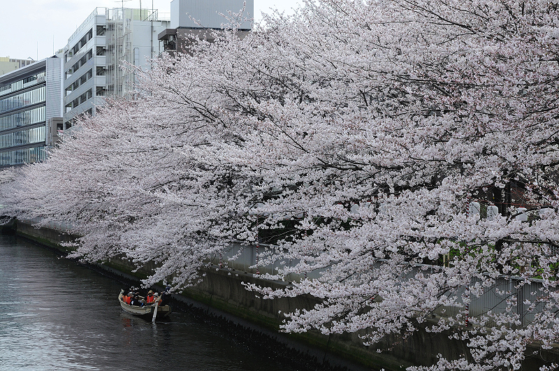 image0244