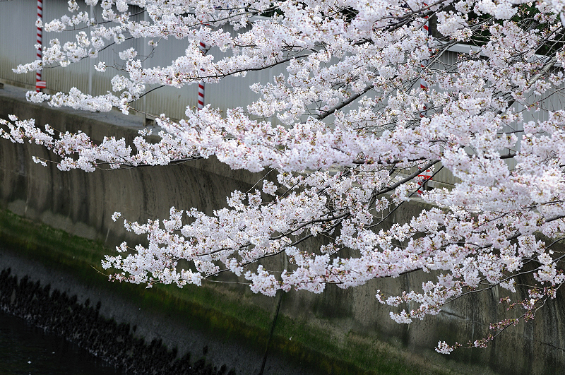 image0260