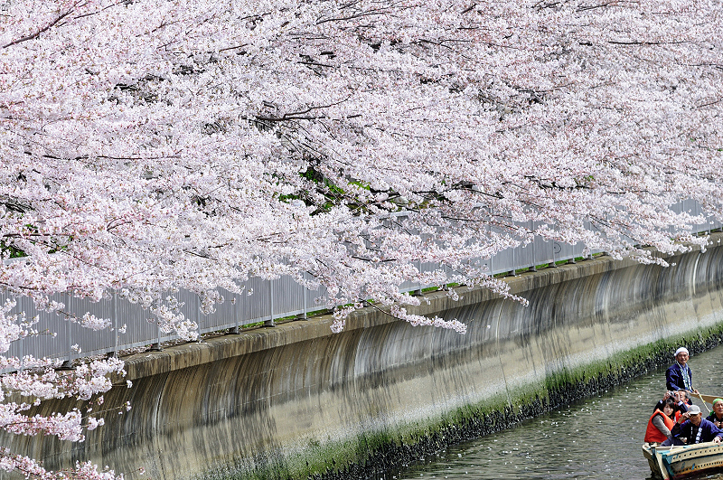 image0262
