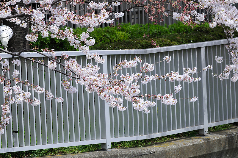 image0264