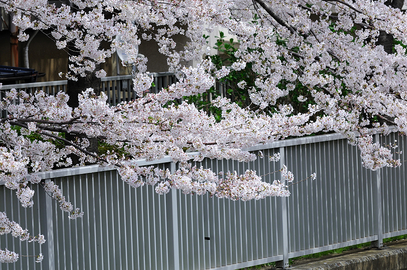 image0265