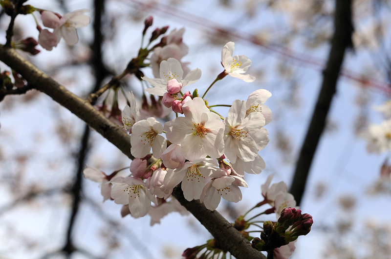 image0267