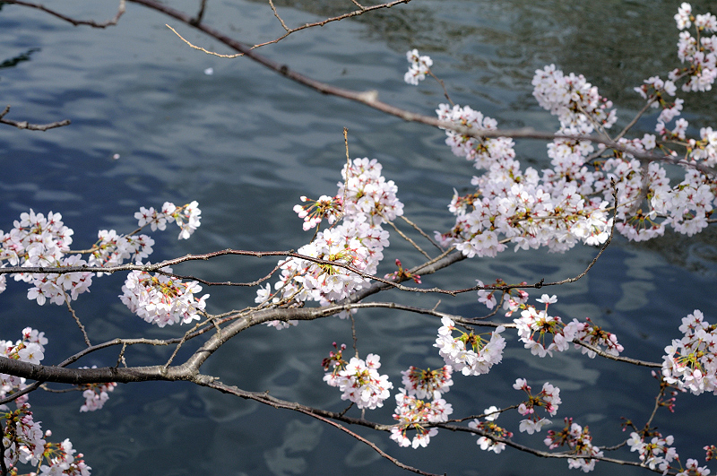 image0272