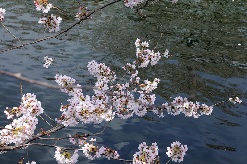 image0273