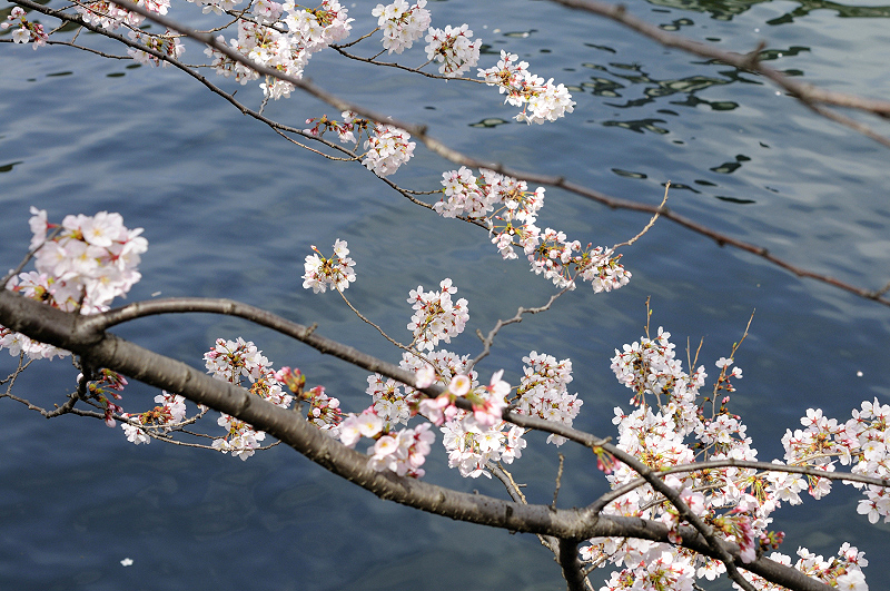 image0274
