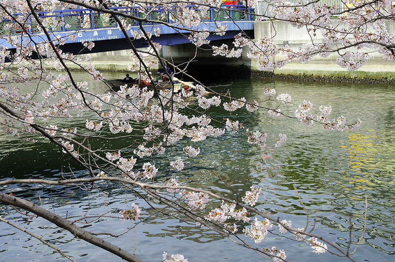 image0275