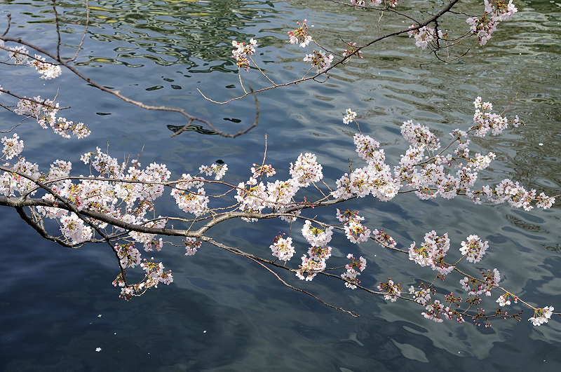 image0276