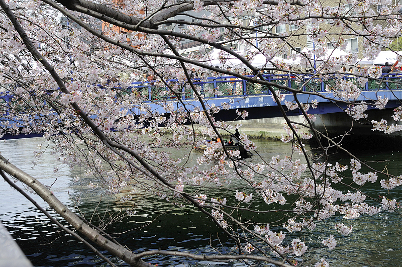 image0277