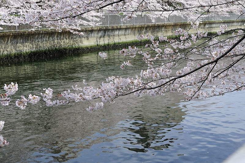 image0279