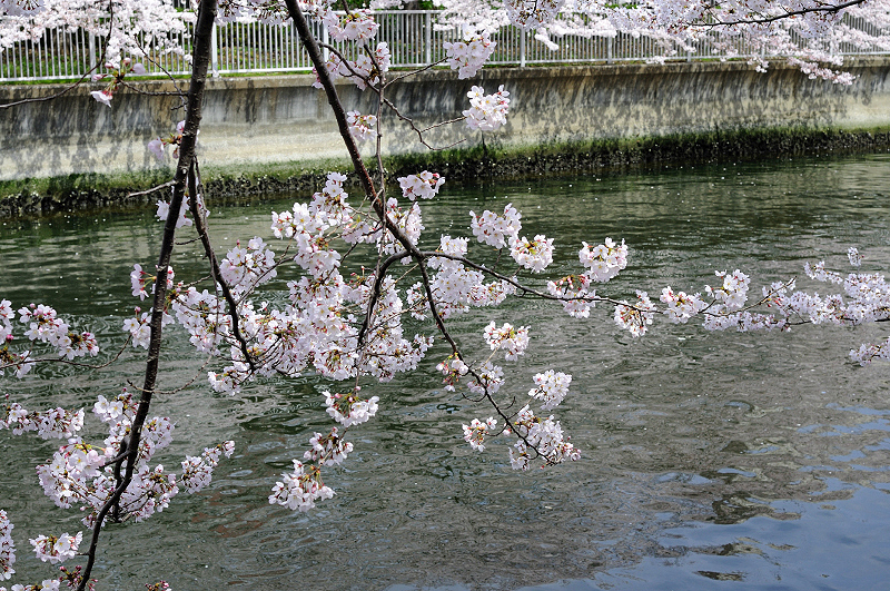 image0280