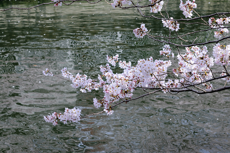 image0281