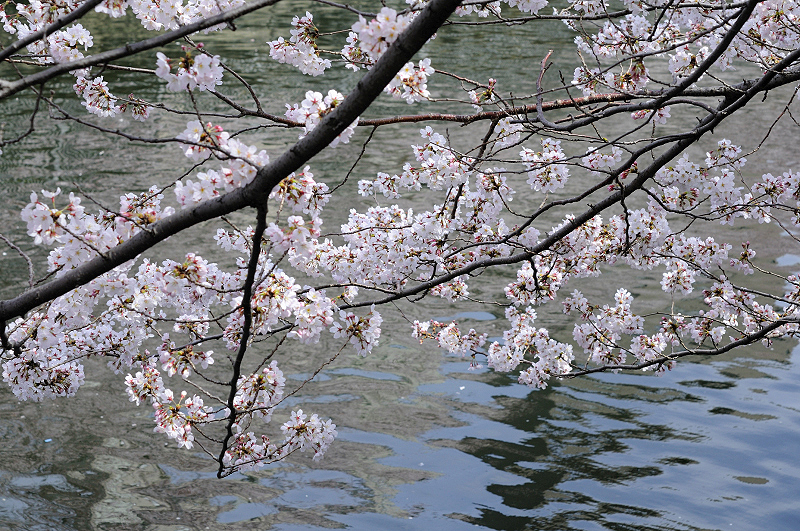 image0282