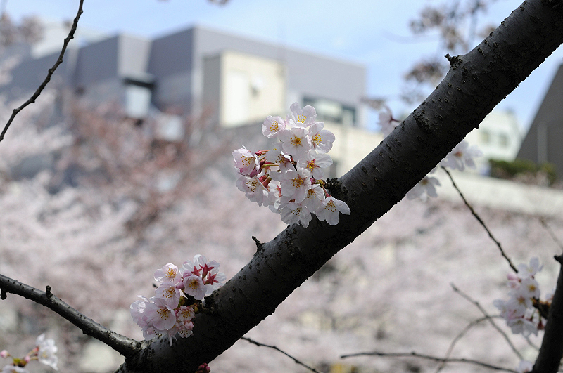image0284