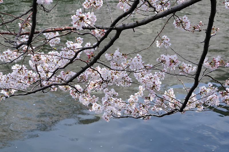 image0285