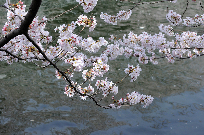 image0286