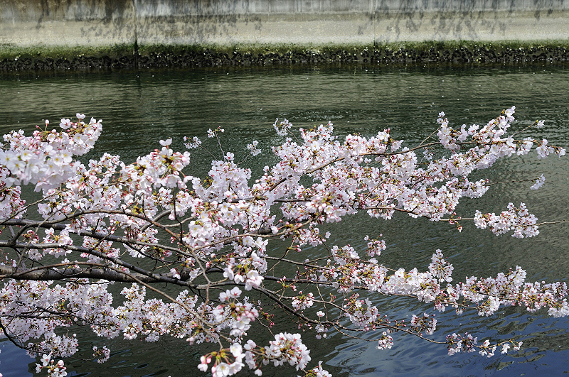 image0312