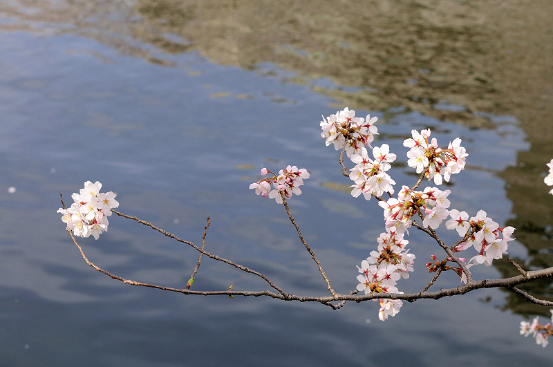 image0320