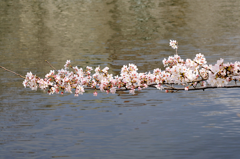 image0321