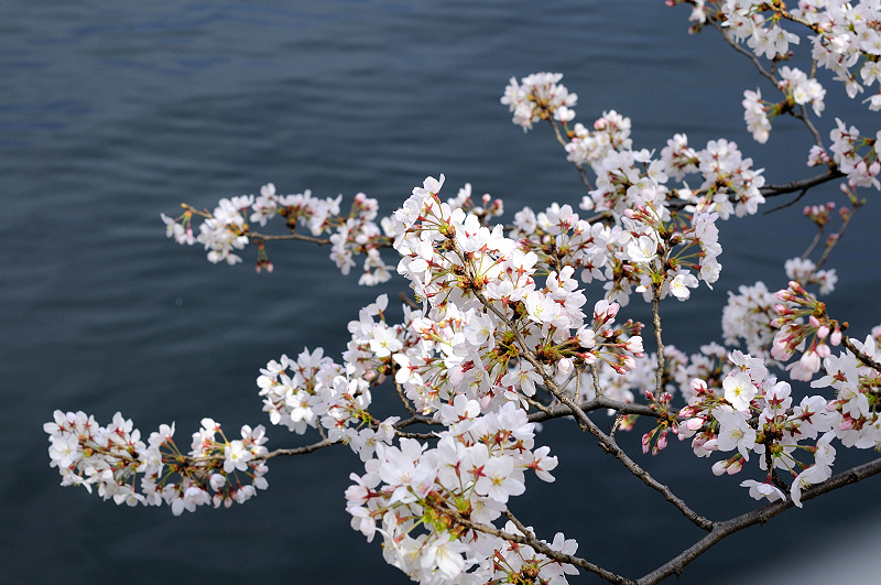 image0322