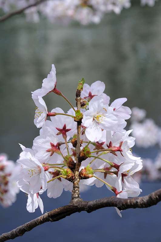 image0323