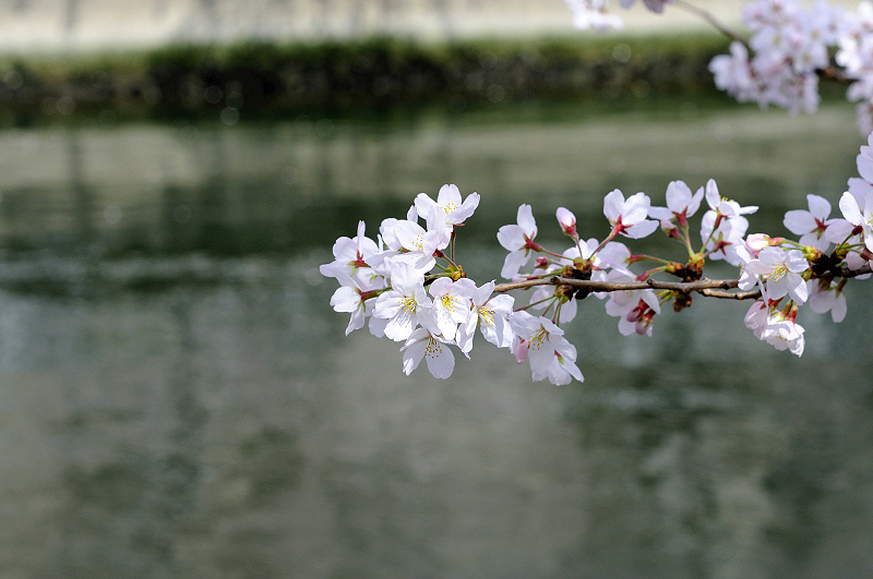 image0324