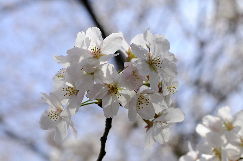 image0327