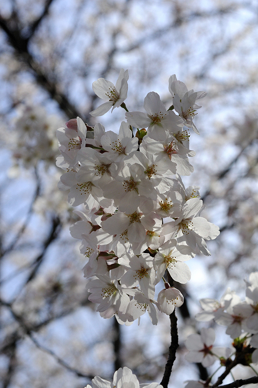 image0328